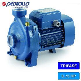 HF 51B - Electrobomba centrífuga trifásica de 0,75 HP Pedrollo - 1