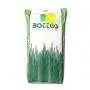 Trébol Enano Repens - 25 kg de semillas de césped