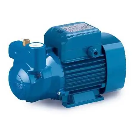 CKR 90 – selbstansaugende Dreiphasen-Flüssigkeitsring-Elektropumpe mit 1 PS Pedrollo - 1