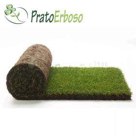 GreenZolla - Abonament la gunoi ecologic Prato Erboso - 4