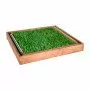 GreenZolla – Abonnement für ökologischen Müll