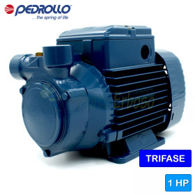 PQ 90 – Elektropumpe mit 1 PS dreiphasigem Peripherlaufrad PQ 90 – Elektropumpe mit 1 PS dreiphasigem Peripherlaufrad