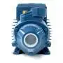 PKm 80 - Electrobomba con impulsor periférico monofásico de 1 HP