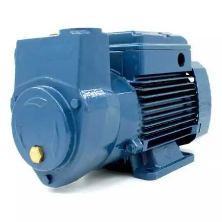 CKm 50 - 0.50 HP single-phase self-priming liquid ring electric pump Pedrollo - 1