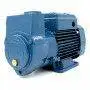 CKm 50 - Bomba eléctrica de anillo líquido autocebante monofásica de 0,50 HP Pedrollo - 1