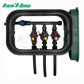PA-DV-3-9V - Sumidero ensamblado de 1" y 3 zonas Rain Bird - 1