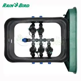 PA-HV-5 - Puisard assemblé 1", 5 zones Rain Bird - 1