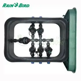 PA-HV-F5 - Pozzetto assemblato da 1" 5 zone Rain Bird - 1