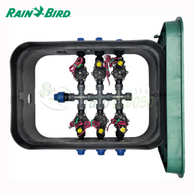PA-DV-6-9V - Pozzetto assemblato da 1" 6 zone