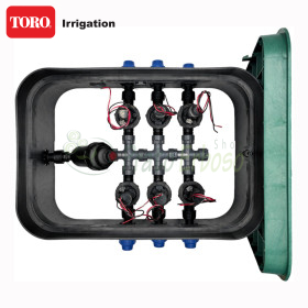 PA-EZP-F6-9V - Pozzetto assemblato da 1" 6 zone TORO Irrigazione - 1