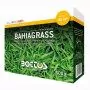 Gazon Bahia - Semences pour gazon 500 g
