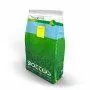 Bermudagras – 5 kg Rasensamen