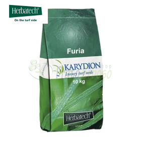 Furia - sementi per prato da 10 kg