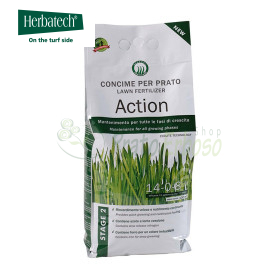 Action - 4 kg lawn fertilizer