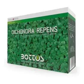 Semințe de gazon Dicondra Repens - 1 kg