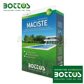 Maciste - 1 kg Rasensamen