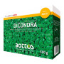 Dicondra Repens - 500g Lawn Seed