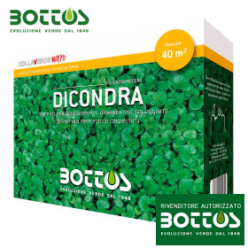 Dicondra - Seminte de gazon 500g
