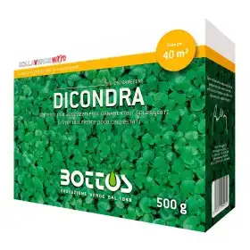 Dicondra - Seminte de gazon 500g
