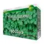 Trèfle Repens nain - 500 g de graines de gazon
