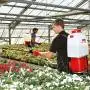 416 Li - Pompă de rucsac alimentată cu baterie de 20 litri