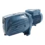 JSWm 3BM - 2 HP single-phase self-priming electric pump