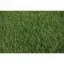 Pradera ELEGANCIA Prato Erboso - 2