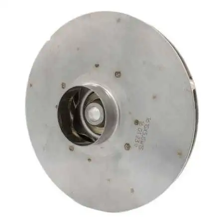 161GX5JSW15 - Shtytës centrifugale Pedrollo - 1