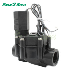 075-DV - Électrovanne 3/4" Rain Bird - 1