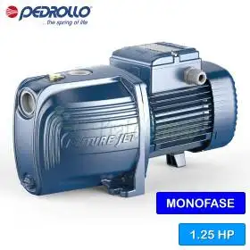 FUTURE JETm 2AH - Pompe électrique auto-amorçante monophasée 1,25 CV