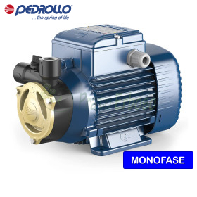 PQAm 60 - Single-phase peripheral impeller electric pump 0.50 HP Pedrollo - 1 PQAm 60 - Single-phase peripheral impeller electric pump 0.50 HP Pedrollo - 1