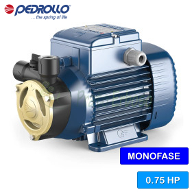 PQAm 70 - Pompë elektrike me shtytës periferike njëfazore 0,75 HP Pedrollo - 1 PQAm 70 - Pompë elektrike me shtytës periferike njëfazore 0,75 HP Pedrollo - 1