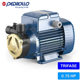 PQA 70 - Elettropompa con girante periferica trifase da 0.75 HP Pedrollo - 1 PQA 70 - Elettropompa con girante periferica trifase da 0.75 HP Pedrollo - 1