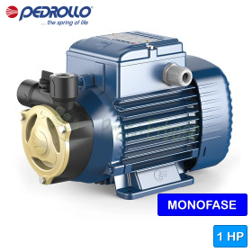 PQAm 90 - 1 HP single-phase electric pump with peripheral impeller