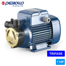 Pompe électrique triphasée à turbine périphérique PQA 90 - 1 CV