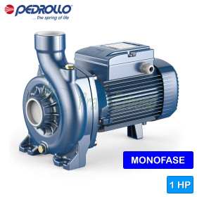 NGAm 1A - Pompă electrică centrifugă monofazată cu rotor deschis de 1 CP