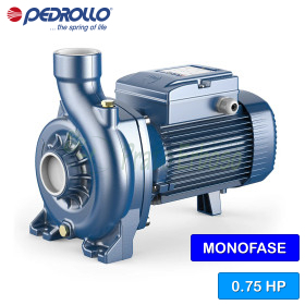 NGAm 2B - 0.75 HP single-phase open impeller centrifugal electric pump Pedrollo - 1