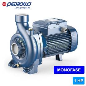 NGAm 2A - Pompă electrică centrifugă monofazată cu rotor deschis de 1 CP