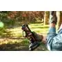 WG330E - Pruning shears cutting 22 mm