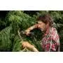 WG330E.9 - Pruning shears cutting 22 mm