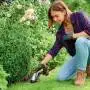 WG801E - 20V Cordless Grass Shears