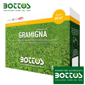 Quecke - 500g Rasensamen