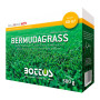 Bermudagrass - 500g Lawn Seed