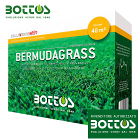 Bermudagrass - Semillas para césped 500 g