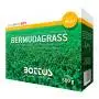 Bermudagrass - Seminte de gazon 500g