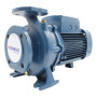 Pompă electrică centrifugă standard trifazată F 40/160A - 5,5 CP