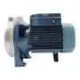 CP 170-ST4 - Électropompe centrifuge triphasée en acier inoxydable de 1,5 CV Pedrollo - 4