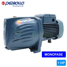 Pompe électrique auto-amorçante monophasée FUTURE JETm 2C - 1 CV