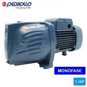 FUTURE JETm 2C - Pompe électrique auto-amorçante monophasée 1 HP