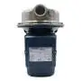 CP 100-ST4 - Electrobomba centrífuga de acero inoxidable trifásica de 0,33 HP Pedrollo - 3